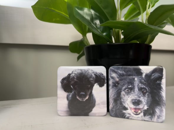 Magnet Listing
