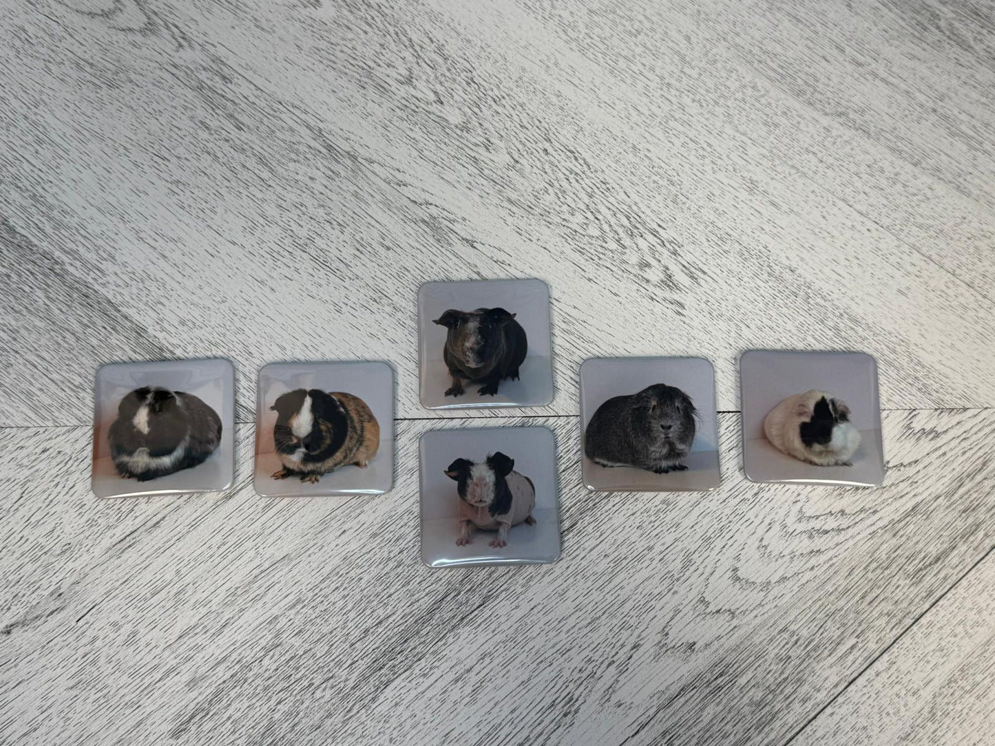 Custom Your Own Magnets l 6, 9 & 12 l
