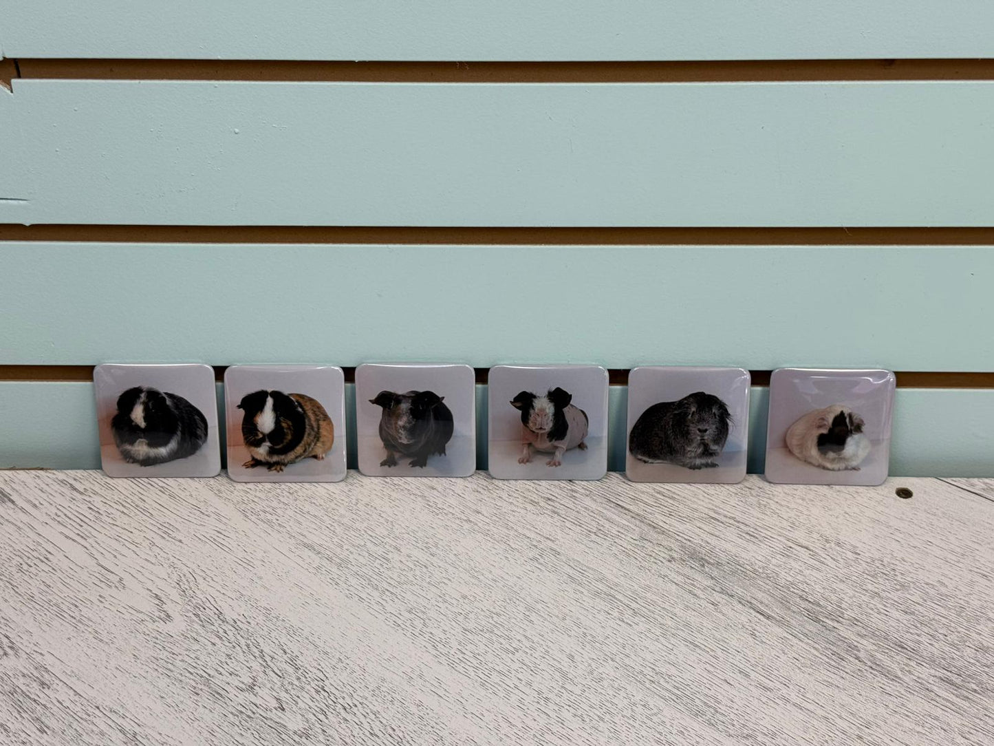 Custom Your Own Magnets l 6, 9 & 12 l