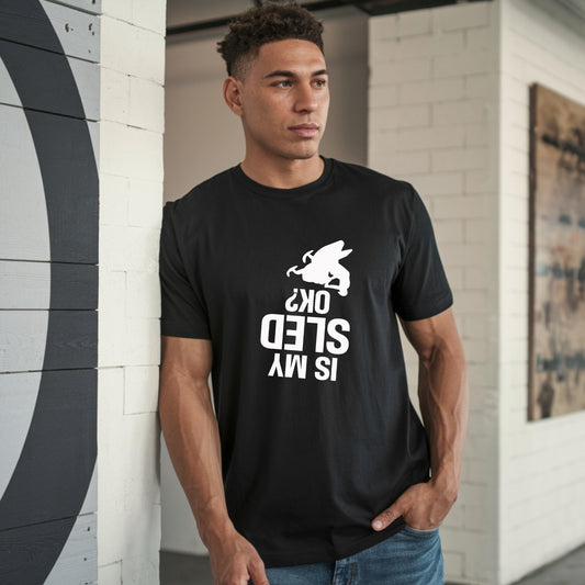 Is My Sled OK l Adult l